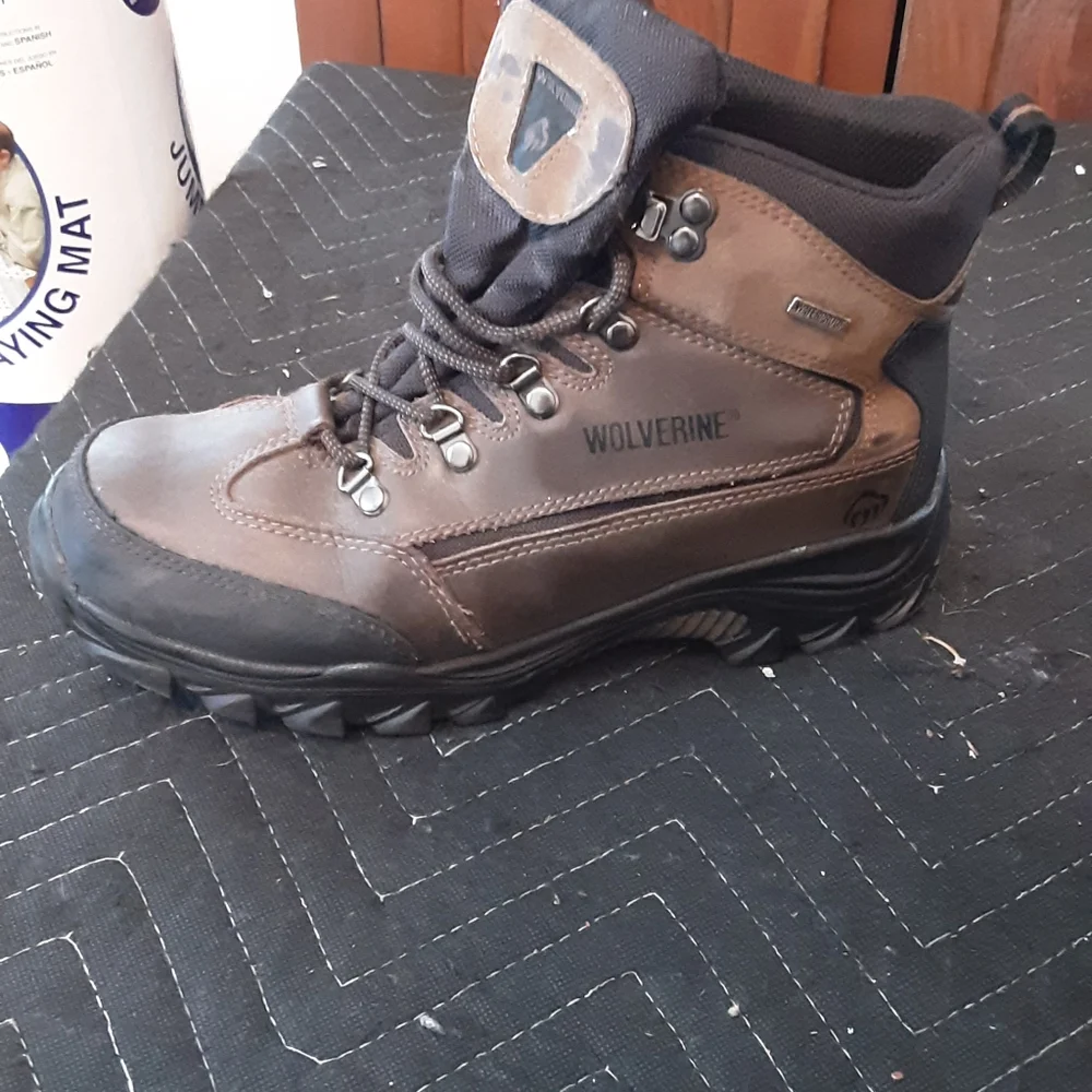 Spencer Wolverines - Picture 7 of 13